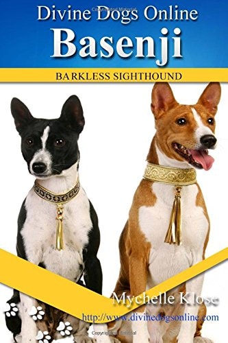 Basenji