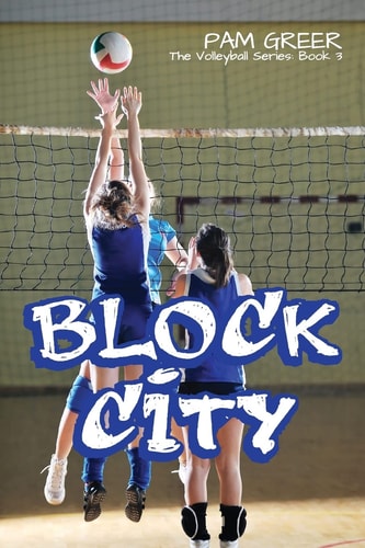 Block City The Volleyball Series #3