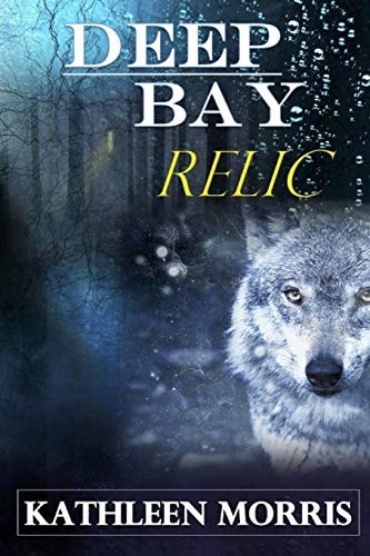 Deep Bay Relic - a Christian Mystery Suspense
