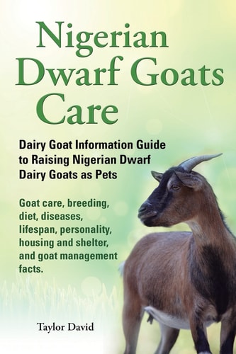 Nigerian Dwarf Goats Care Dairy Goat Information Guide to Raising Nigerian Dwarf Dairy Goats as Pets