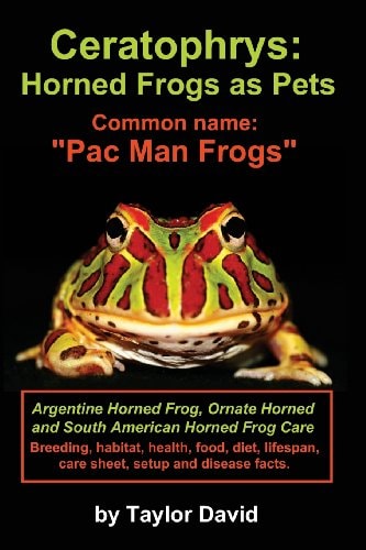 Ceratophrys Horned Frogs As Pets: Common Name: Pac Man Frogs