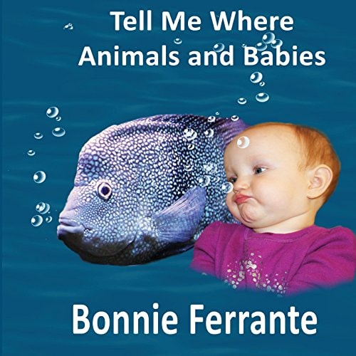 Tell Me Where Animals and Babies