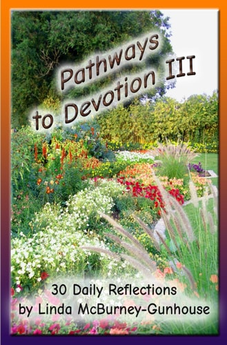 Pathways to Devotion III