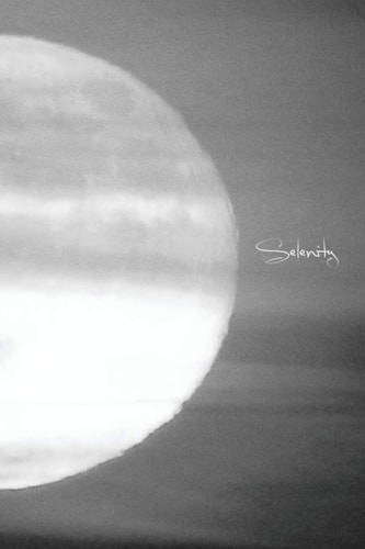 Selenity Book Four