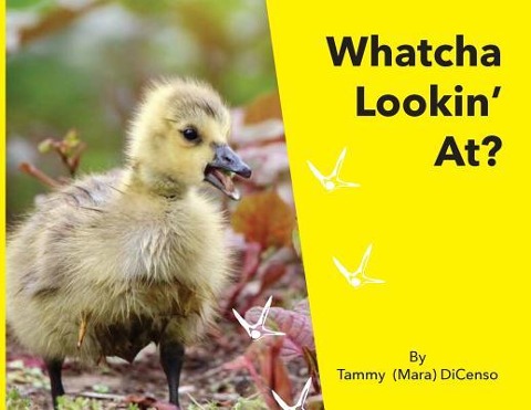 Whatcha Lookin At?