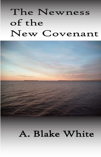 The Newness of the New Covenant
