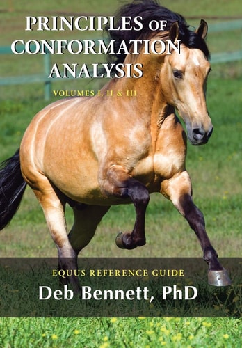 Principles of Conformation Analysis Equus Reference Guide