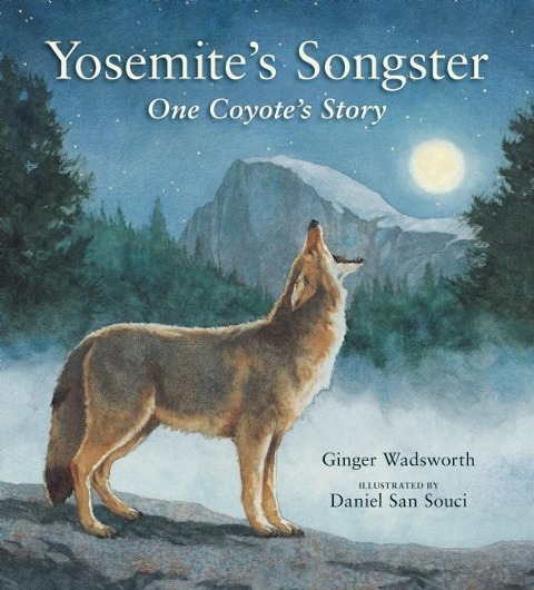 Yosemites Songster: One Coyotes Story