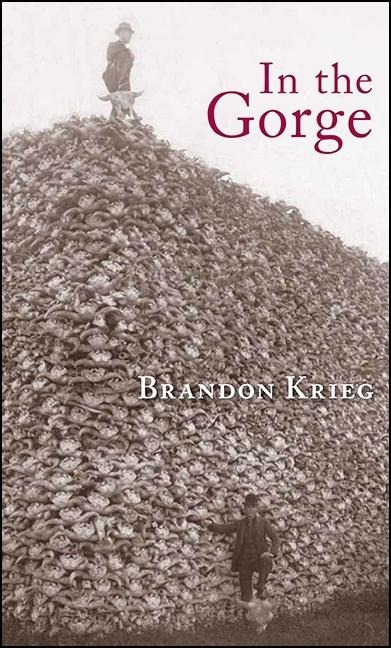 In the Gorge: Poems