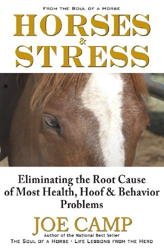 HORSES and STRESS The Singular Cause of Most Health and Hoof Problems