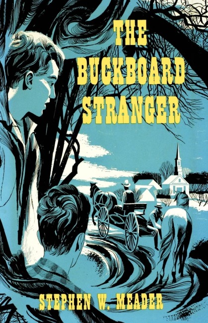 The Buckboard Stranger