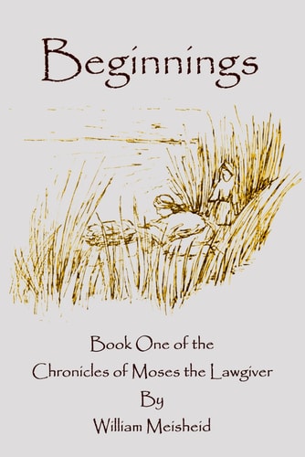 Beginnings Book One of the Chronicles of Moses the Lawgiver 2nd Edition