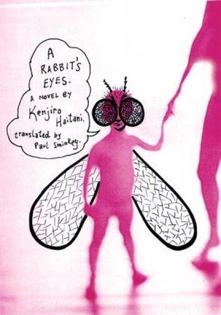 A Rabbits Eyes