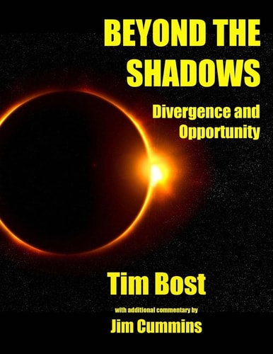 Beyond The Shadows Divergence and Opportunity