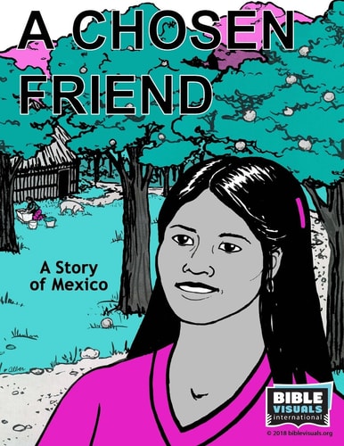A Chosen Friend A Story of Mexico