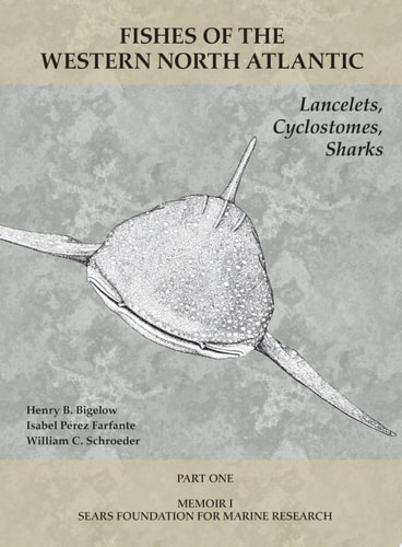 Lancelets, Cyclostomes, Sharks Part 1