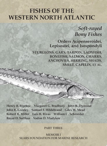 Soft-rayed Bony Fishes: Orders Acipenseroidei, Lepisostei, and Isospondyli Part 3