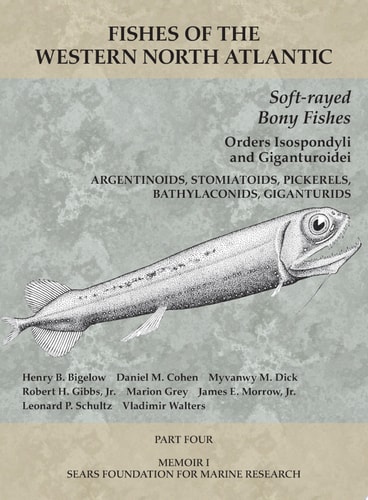 Soft-rayed Bony Fishes: Orders Isospondyli and Giganturoidei Part 4