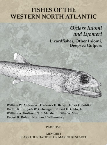 Orders Iniomi and Lyomeri Part 5
