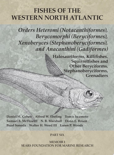 Orders Heteromi (Notacanthiformes), Berycomorphi (Beryciformes), Xenoberyces (Stephanoberyciformes), Anacanthini (Gadiformes) Part 6