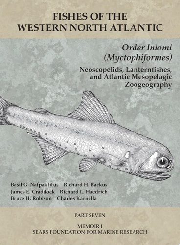 Order Iniomi (Myctophiformes) Part 7