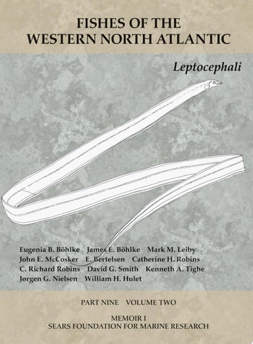 Leptocephali Part 9, Volume 2