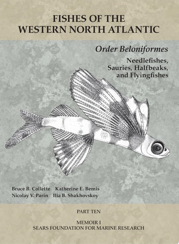 Order Beloniformes: Needlefishes, Sauries, Halfbeaks, and Flyingfishes Part 10