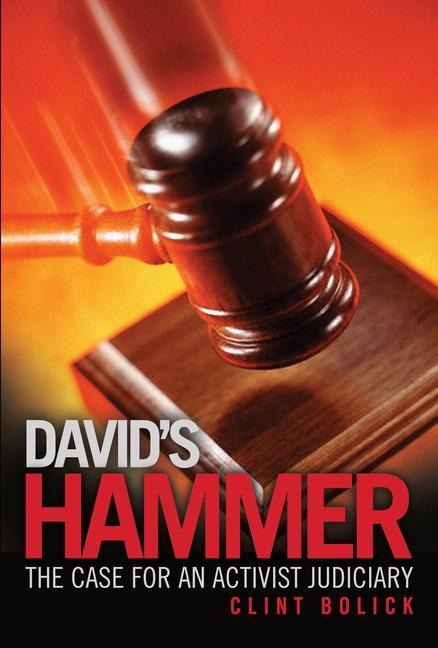 Davids Hammer: The Case for an Activist Judiciary