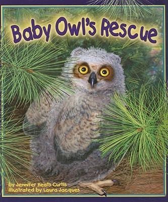 Baby Owls Rescue