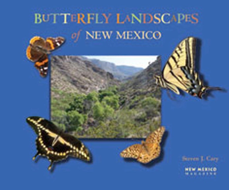 Butterfly Landscapes of New Mexico
