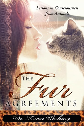 The Fur Agreements Lessons in Consciousness from the Animals