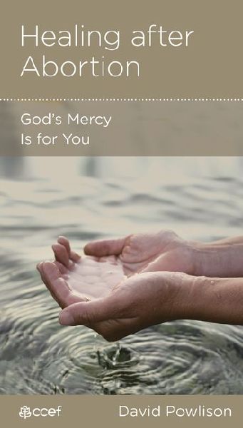 Healing After Abortion: Gods Mercy Is for You