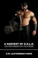A Harvest of G O L D Leather Bikers on the Prowl