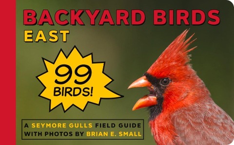 Backyard Birds East
