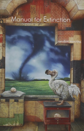 Manual for Extinction