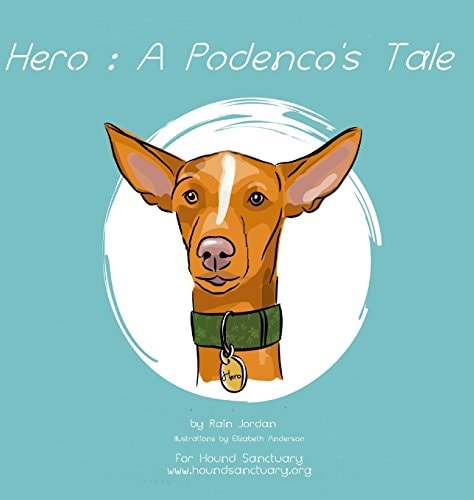 Hero A Podenco's Tale