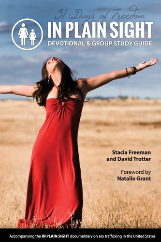 In Plain Sight 31 Day Devotional and Group Study Guide