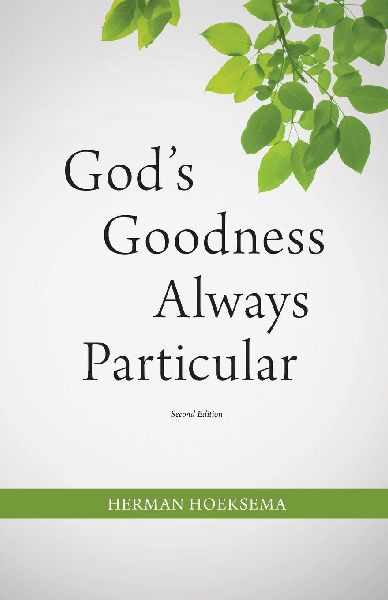 Gods Goodness Always Particular