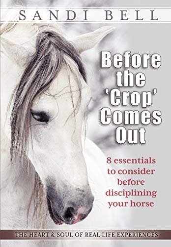 Before the 'Crop' Comes Out 8 Essentials to Consider Before Disciplining Your Horse