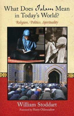 What Does Islam Mean in Todays World?: Religion, Politics, Spirituality