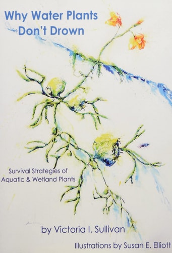 Why Water Plants Don't Drown Survival Strategies of Aquatic & Wetland Plants