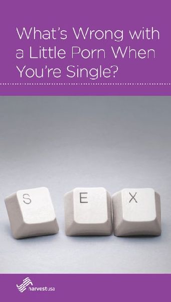 Whats Wrong with a Little Porn When Youre Single?