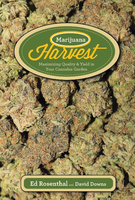 Marijuana Harvest: How to Maximize Quality and Yield in Your Cannabis Garden