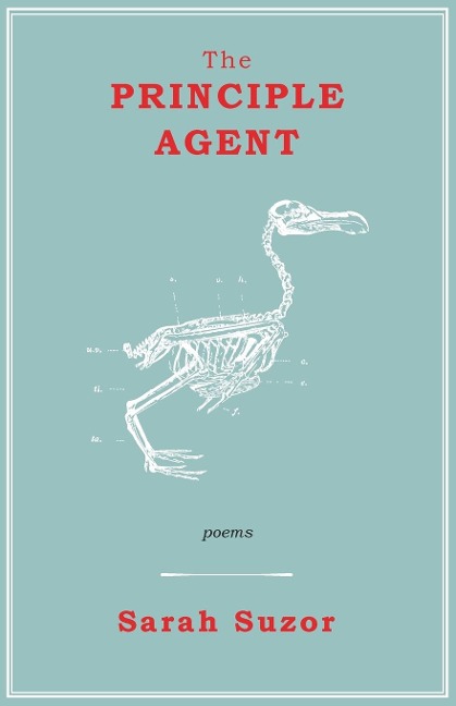 The Principle Agent