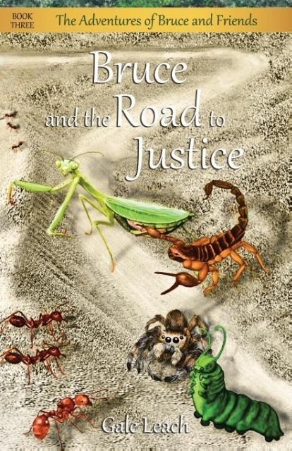 Bruce and the Road to Justice