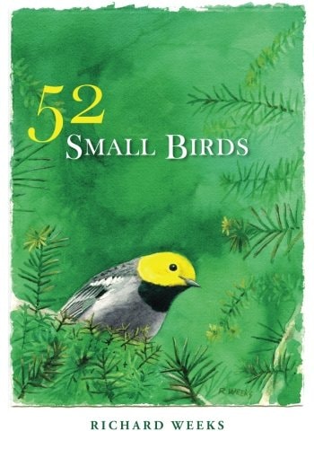 52 Small Birds