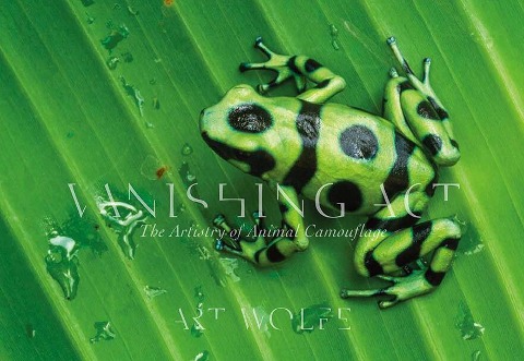 Vanishing ACT: The Artistry of Animal Camouflage