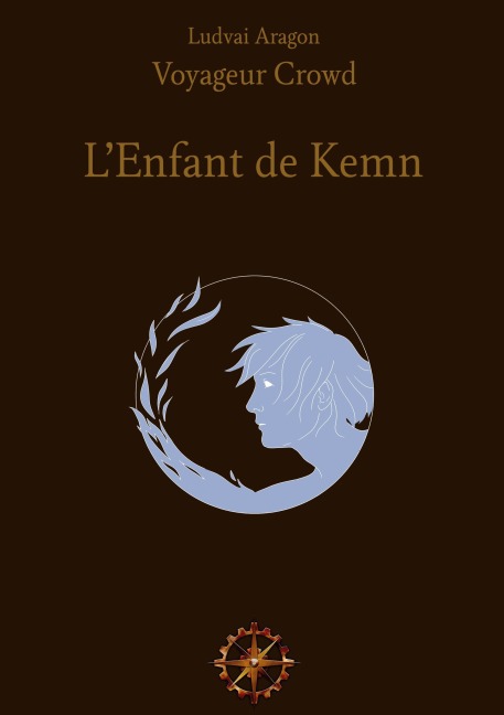 Study Guide for The Sir Kaye the Boy Knight Series