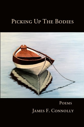 Picking Up the Bodies New and Selected Poems