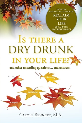 Is There a Dry Drunk in Your Life? And Other Unsettling Questions ... and Answers